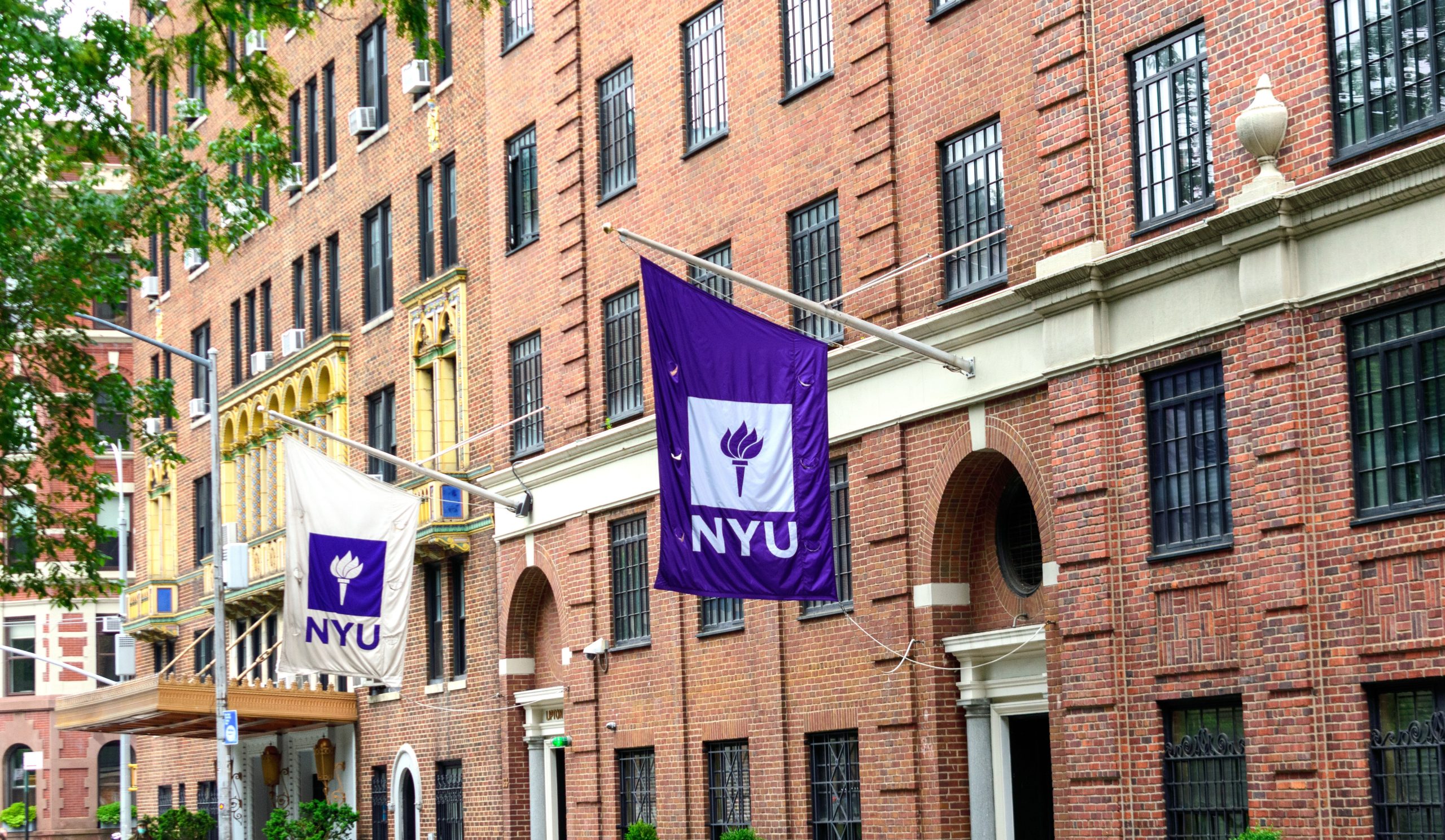 New York University (NYU)