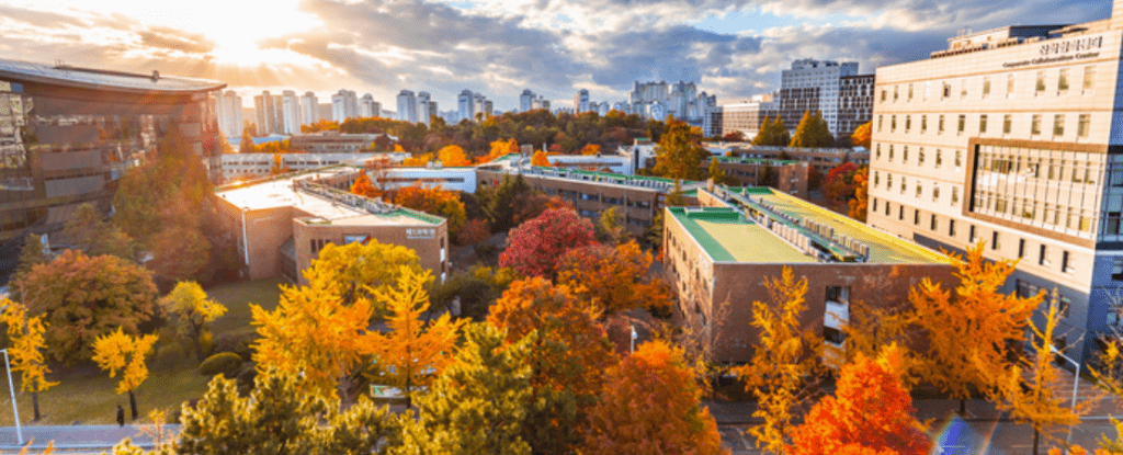 Sungkyunkwan University (SKKU)